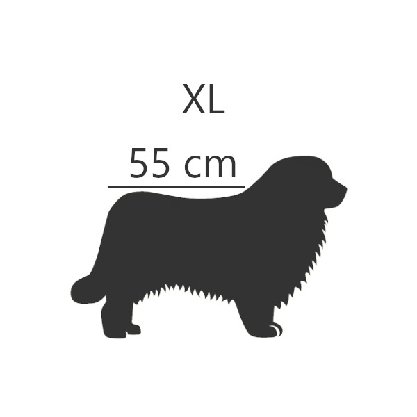 XL - 55 cm